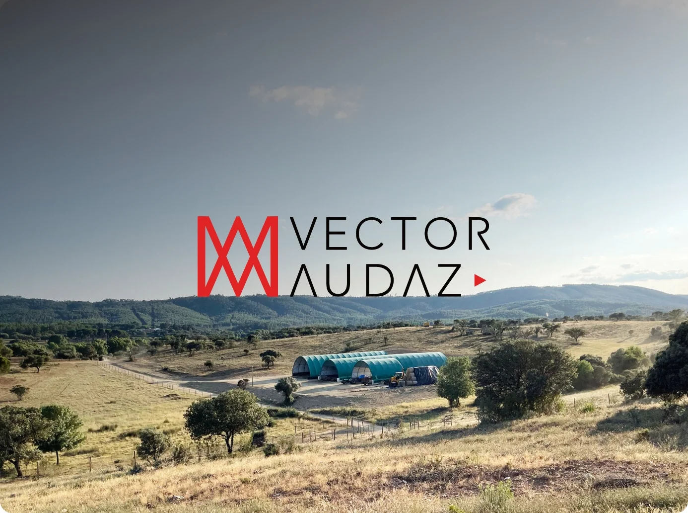 VectorAudaz
